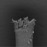 Традиционная бритва