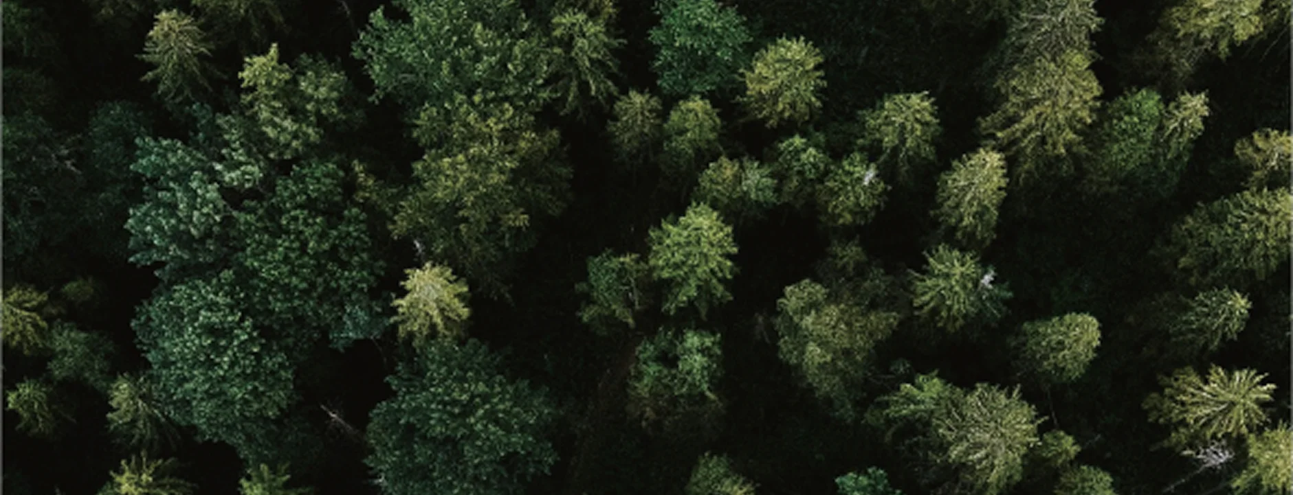 Sustainability